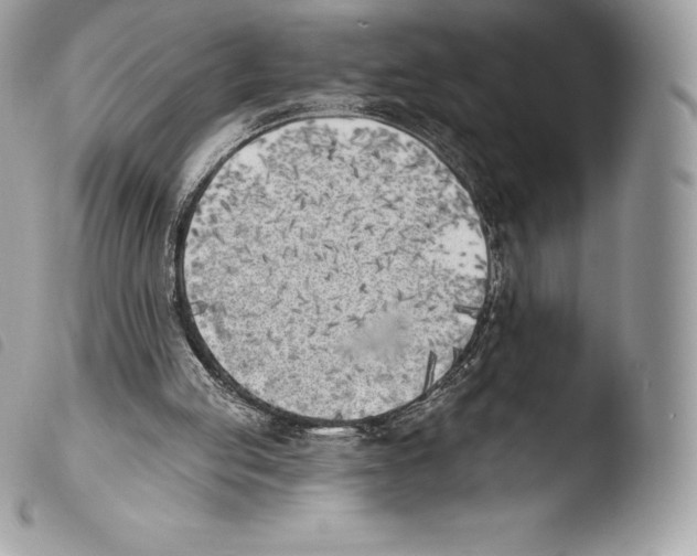 X0000103910053200810171714