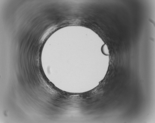 X0000103910054200810171714