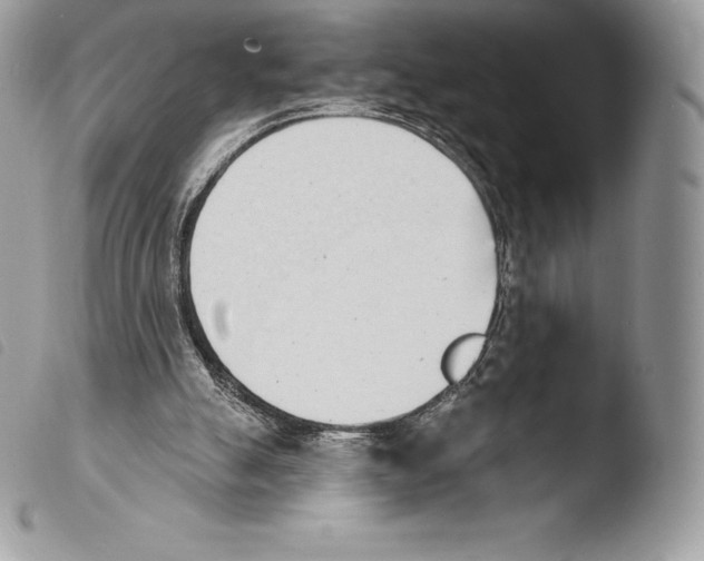X0000103910055200810171714