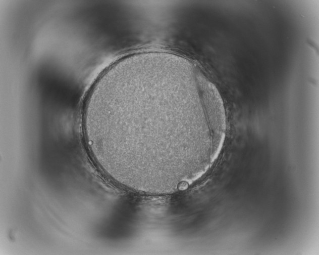 X0000103910056200810171715