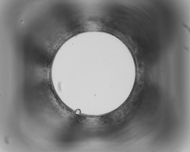 X0000103910057200810171715