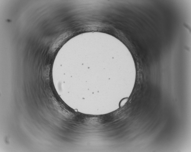 X0000103910058200810171715