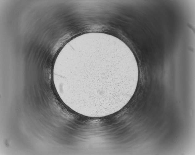 X0000103910059200810171715