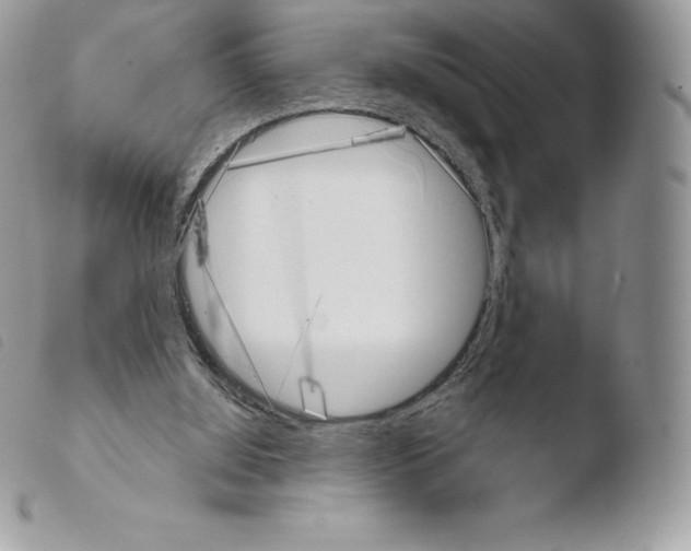 X0000103910060200810171715