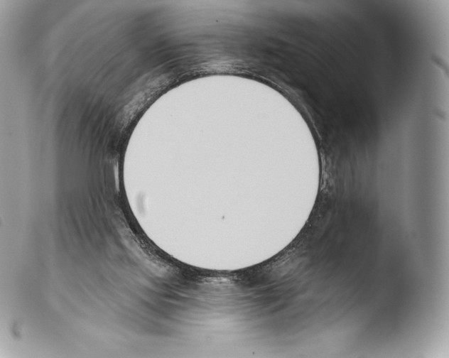 X0000103910061200810171715