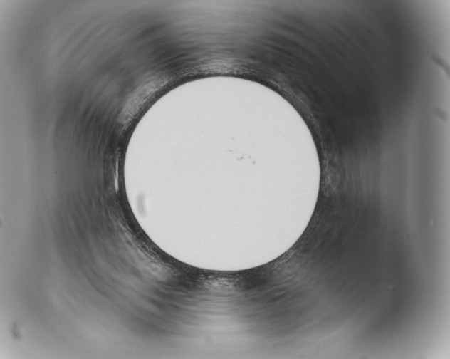 X0000103910062200810171715