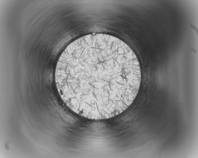 X0000103910063200810171715