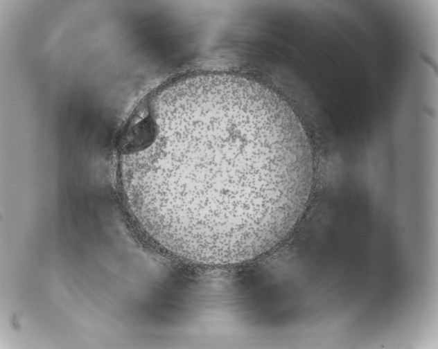 X0000103910064200810171715