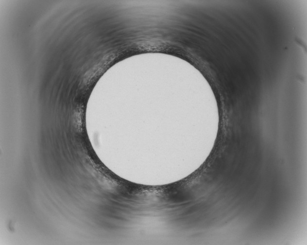 X0000103910065200810171715