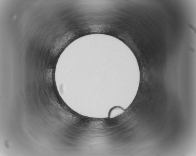X0000103910066200810171715