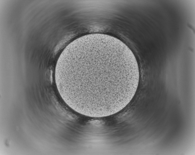 X0000103910067200810171715