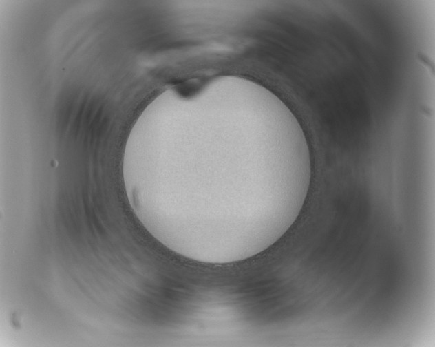 X0000103910068200810171715