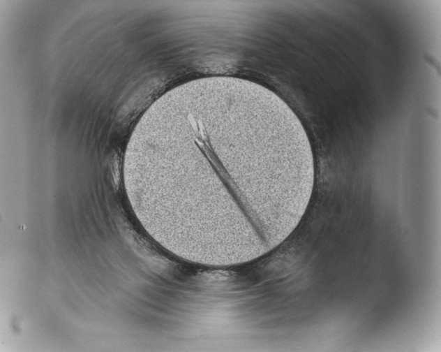 X0000103910069200810171715