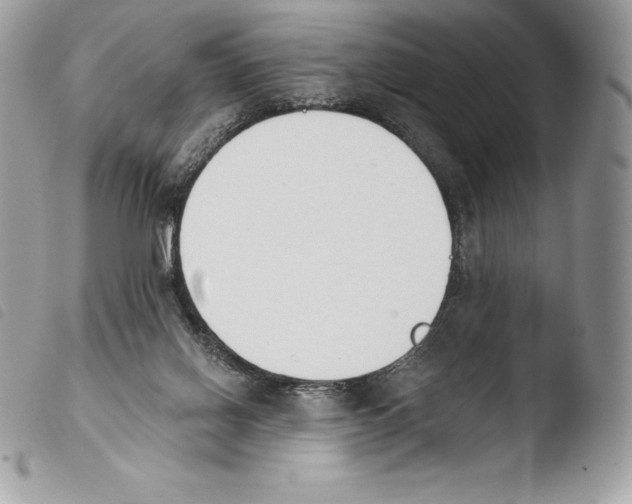 X0000103910070200810171715