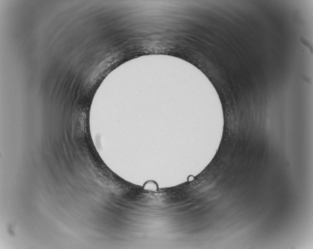 X0000103910071200810171715