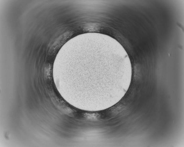 X0000103910073200810171715
