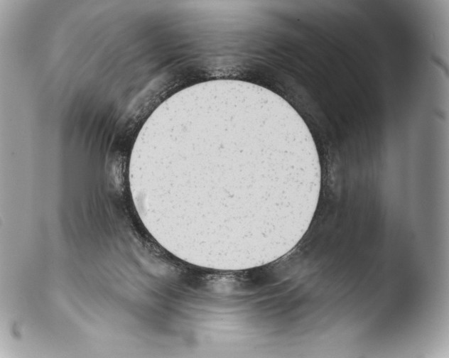 X0000103910074200810171715