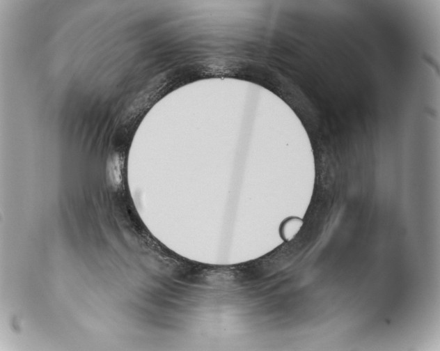 X0000103910075200810171715