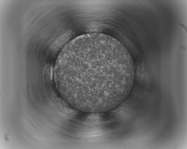 X0000103910076200810171715