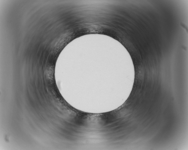 X0000103910078200810171715