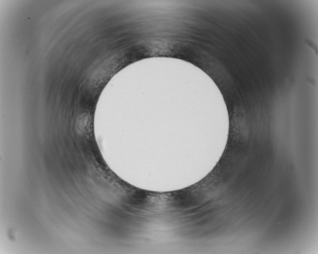 X0000103910079200810171715
