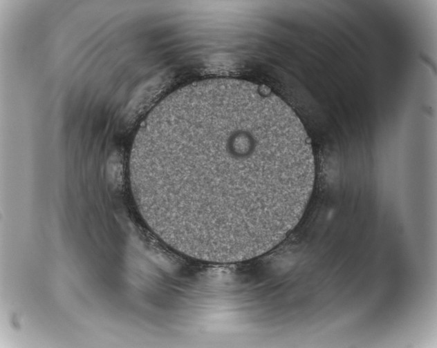 X0000103910080200810171715