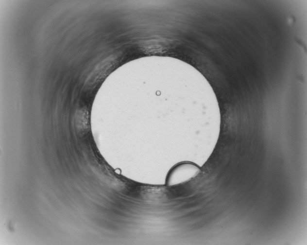 X0000103910081200810171715