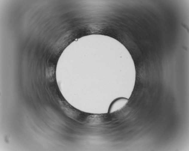 X0000103910082200810171715