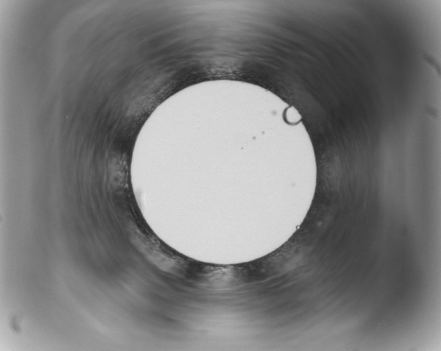 X0000103910083200810171715