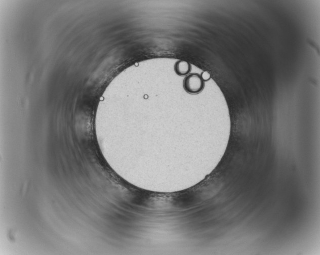 X0000103910084200810171715