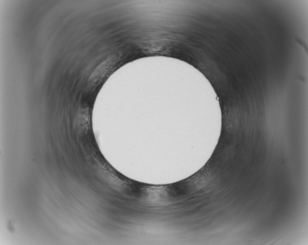 X0000103910085200810171715