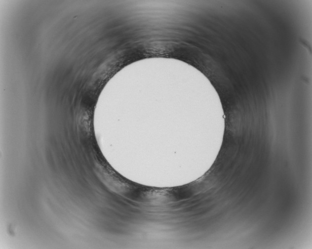 X0000103910086200810171715