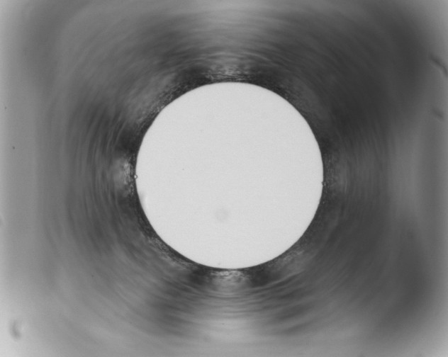X0000103910087200810171715