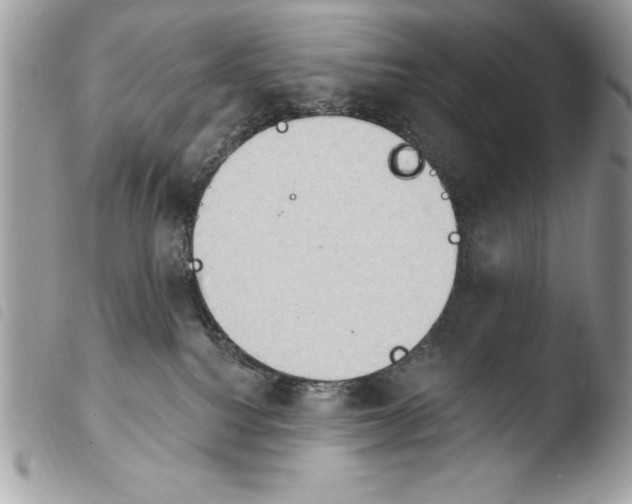 X0000103910088200810171715