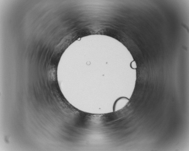X0000103910090200810171715