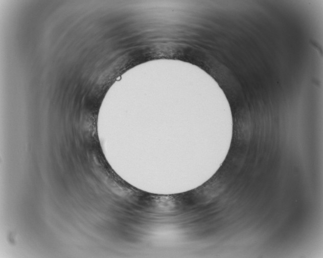 X0000103910091200810171715