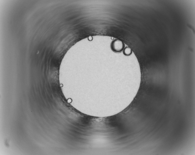X0000103910092200810171715