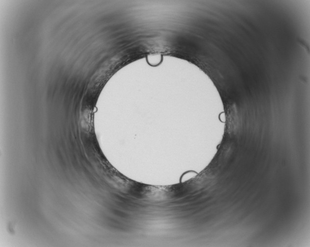 X0000103910093200810171715