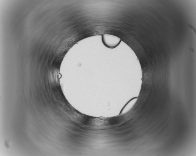 X0000103910094200810171715