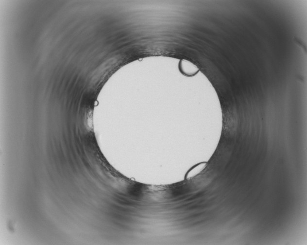 X0000103910095200810171715