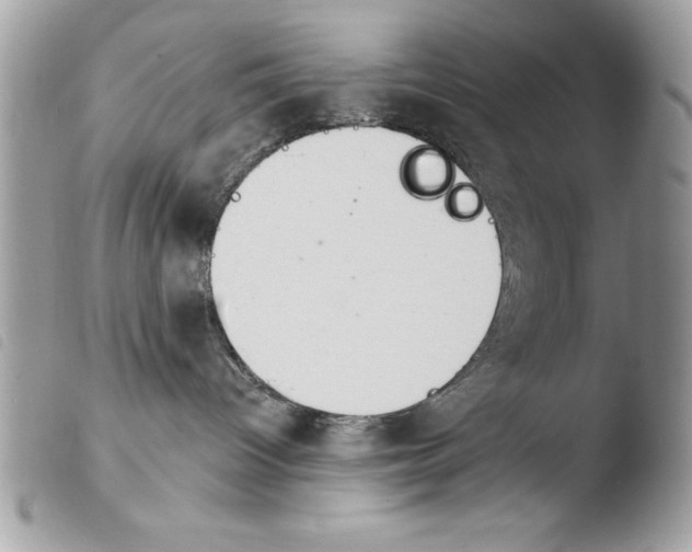 X0000103910096200810171715