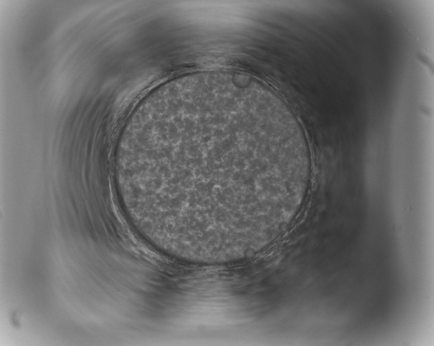 X0000103910097200810171714