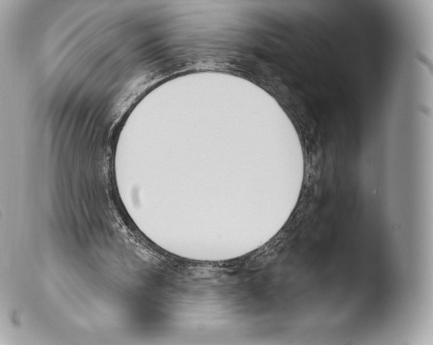 X0000103910098200810171714