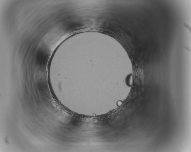 X0000103910100200810171714