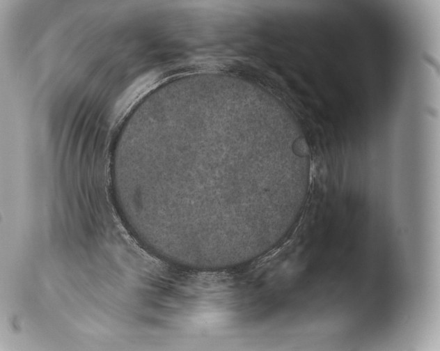 X0000103910101200810171714