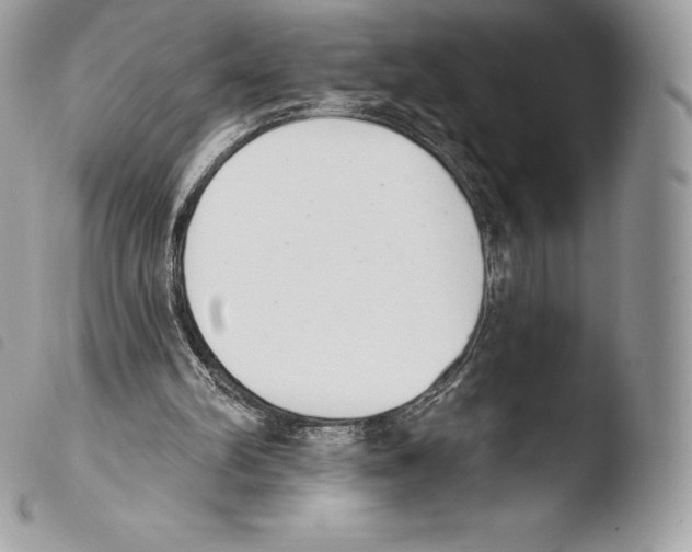 X0000103910102200810171714