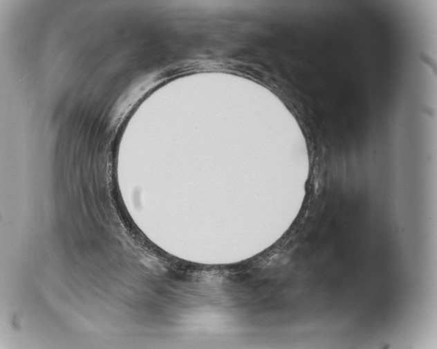 X0000103910103200810171714