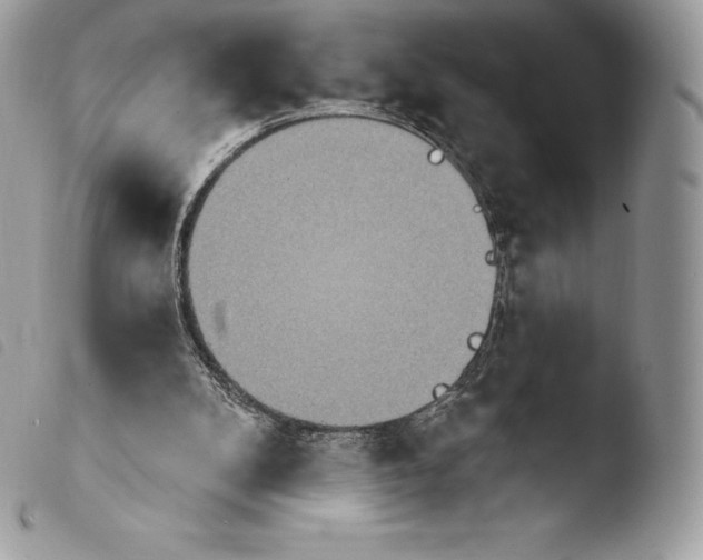 X0000103910104200810171714