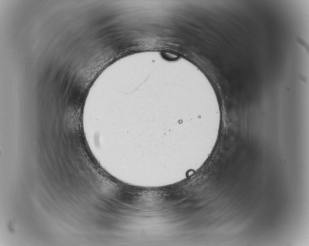 X0000103910105200810171714