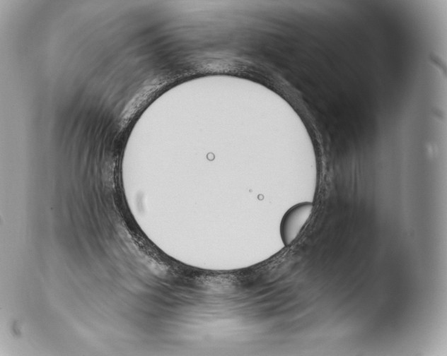 X0000103910106200810171714
